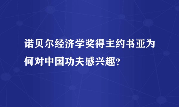 诺贝尔经济学奖得主约书亚为何对中国功夫感兴趣？