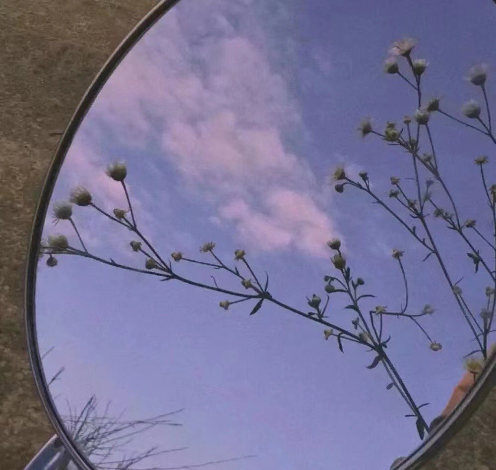 曼曼是什么意思