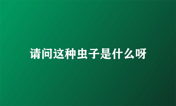 请问这种虫子是什么呀