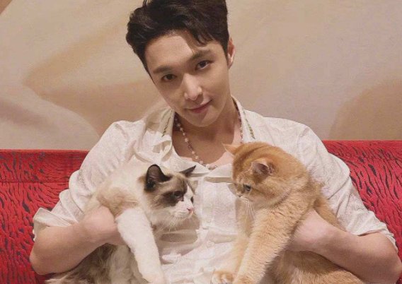 张艺兴的三只猫是什么品种