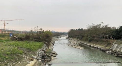 关于夫妻七夕驾车坠河4个月后被捞起一事，你有何看法？
