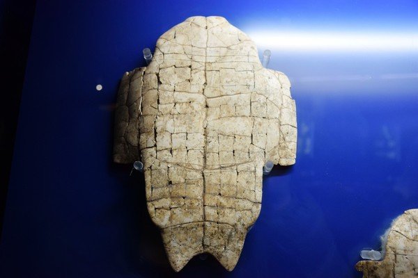 中国最早的文字起源于哪？