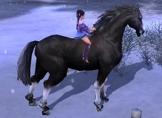 剑网三各个主城2w金的马都是什么样子的？还有什么办法可以获得漂亮的马