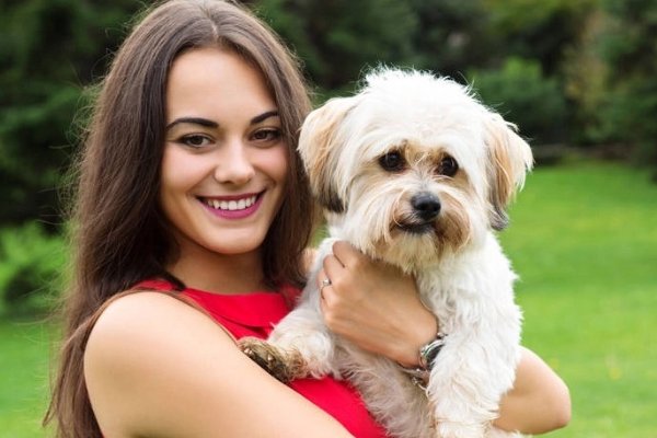 铲屎官是什么意思？