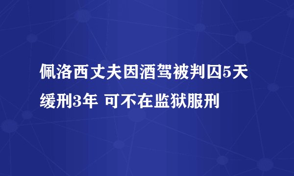 佩洛西丈夫因酒驾被判囚5天缓刑3年 可不在监狱服刑