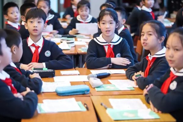 厚颜无耻的解释