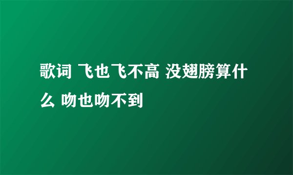 歌词 飞也飞不高 没翅膀算什么 吻也吻不到