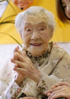 皆川米子的介绍