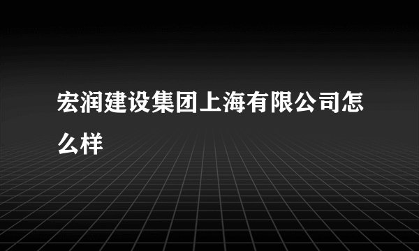 宏润建设集团上海有限公司怎么样