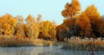 中国唯一的寒温带林区，美丽的黑龙江塔河，喜欢这北方之旅吗？