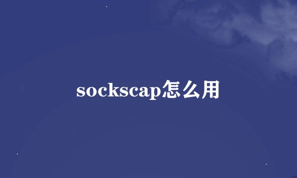 sockscap怎么用