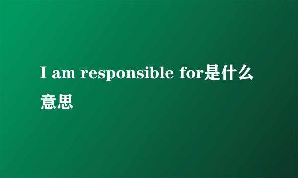 I am responsible for是什么意思