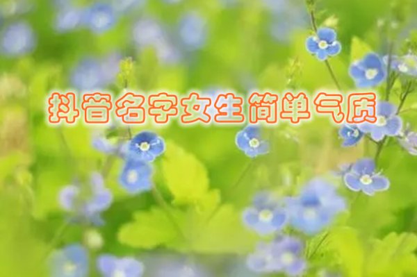 2024最火的昵称女抖音名字