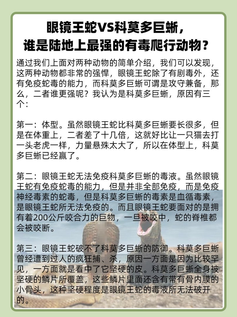 眼镜王蛇单挑科莫多巨蜥谁是最强爬行动物