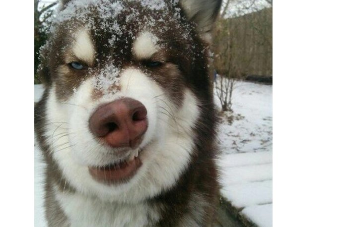 搞笑泥浆怎么说