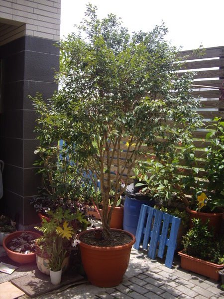 植物工坊的品牌理念