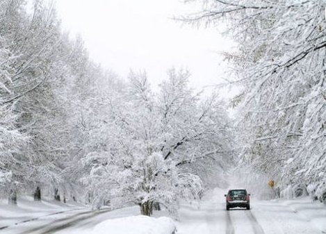 安徽暴雪已致4人死亡了吗?