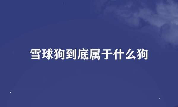 雪球狗到底属于什么狗