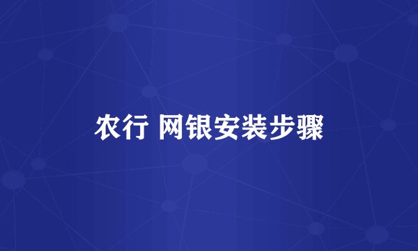 农行 网银安装步骤