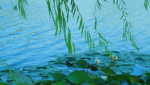 幻墨如烟的意思是什么?