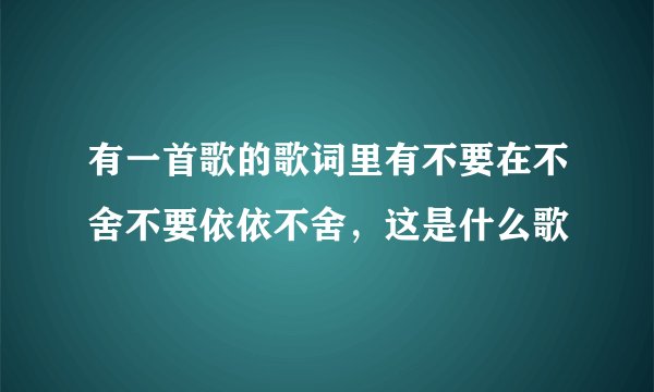 有一首歌的歌词里有不要在不舍不要依依不舍，这是什么歌