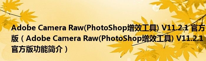 AdobeCameraRawPhotoShop增效工具V1121官方版AdobeCameraRawPhotoShop增效工具V1121官方版功能简介