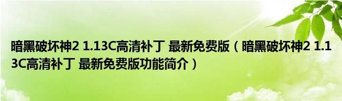 暗黑破坏神2113C高清补丁最新免费版暗黑破坏神2113C高清补丁最新免费版功能简介
