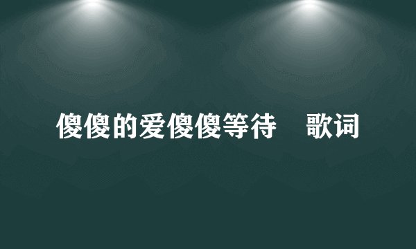 傻傻的爱傻傻等待 歌词
