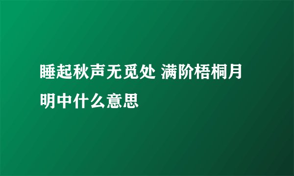睡起秋声无觅处 满阶梧桐月明中什么意思