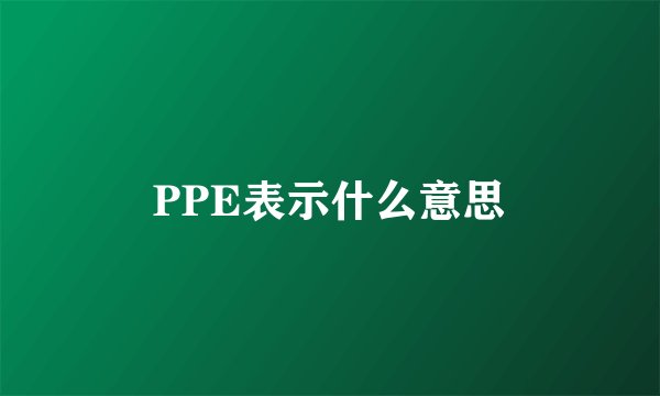PPE表示什么意思