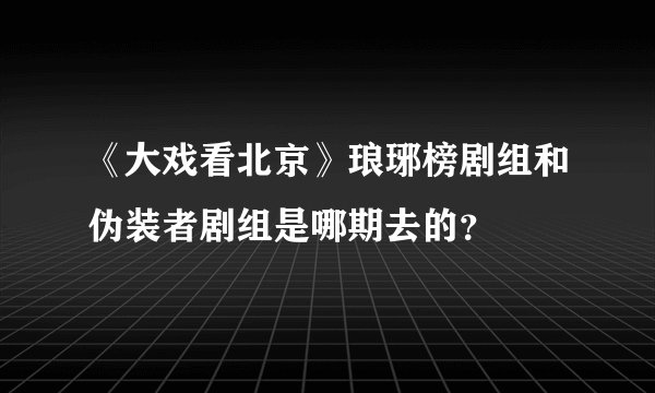 《大戏看北京》琅琊榜剧组和伪装者剧组是哪期去的？