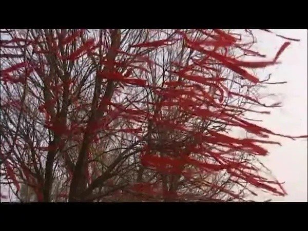 为什么大家对《高梁红了》这部电影的评价非常的高呢？