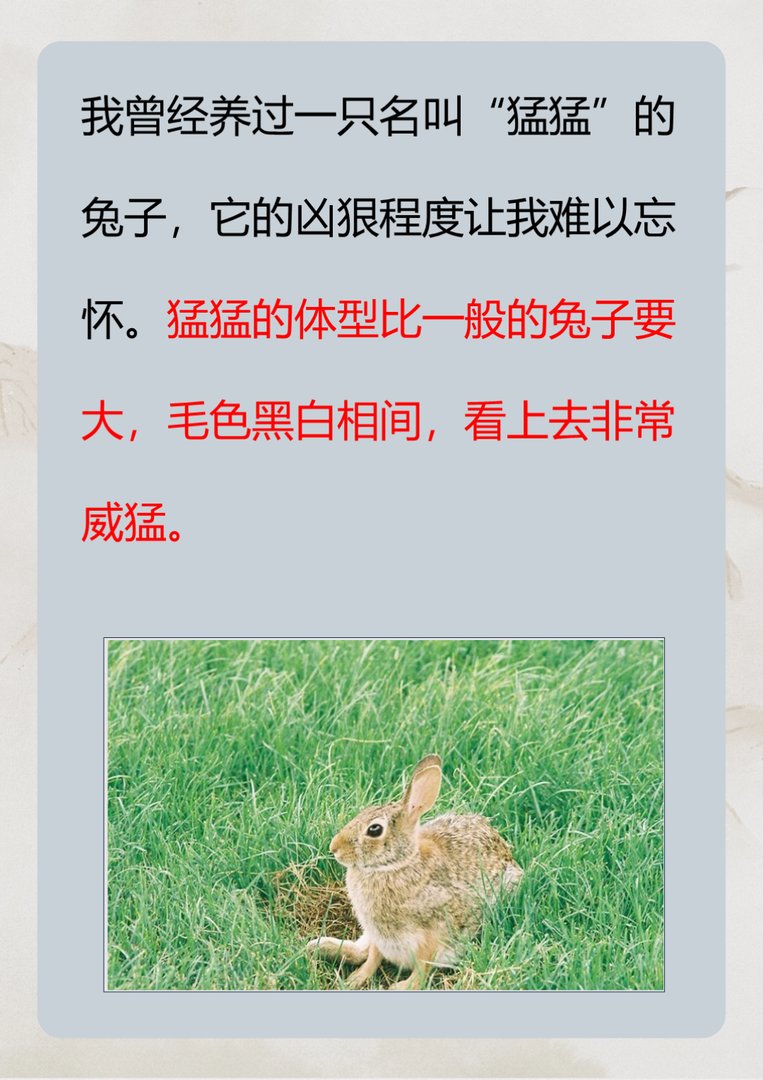 世界上最凶狠的兔子