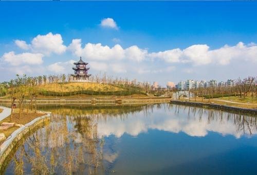 狼溪2为什么放了人