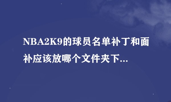 NBA2K9的球员名单补丁和面补应该放哪个文件夹下？怎样读取？
