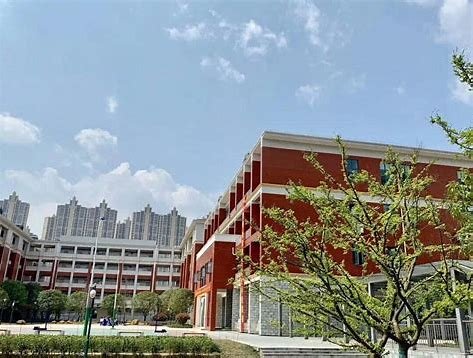 湖南师大研究生将入住长沙一高中?相关中学对此作何回应?
