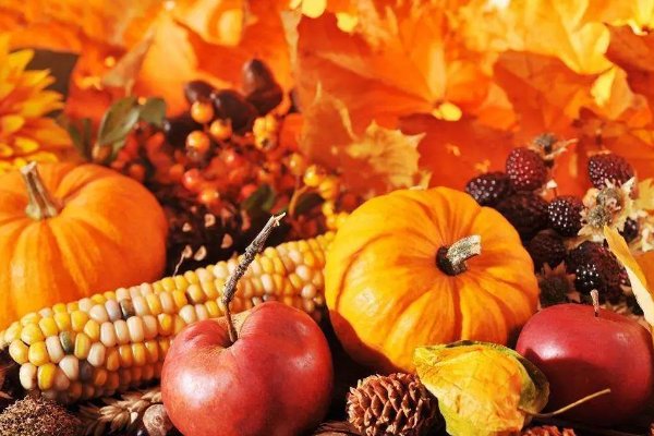 秋意指的是什么