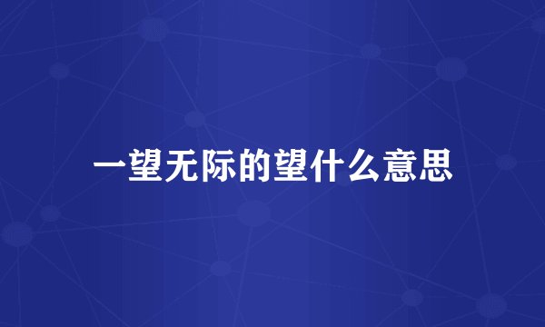 一望无际的望什么意思
