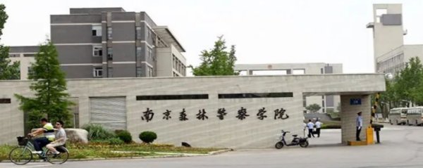 南京森林警察学院2022录取分数线