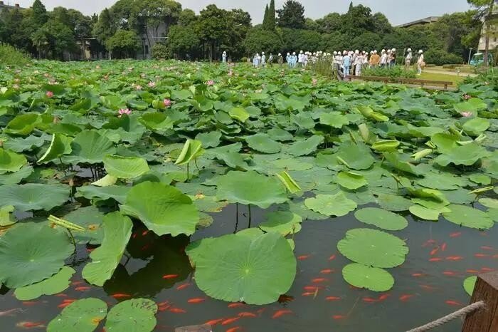 塘的拼音组词部首