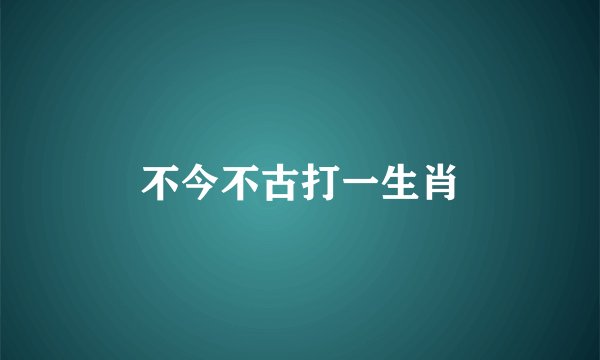不今不古打一生肖