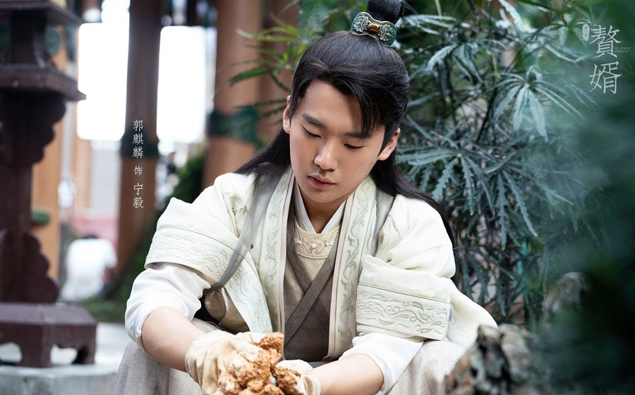 赘婿主要讲述了哪些故事？