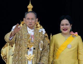 郑有英的辉煌成就