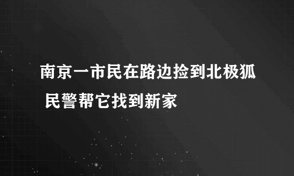 南京一市民在路边捡到北极狐 民警帮它找到新家