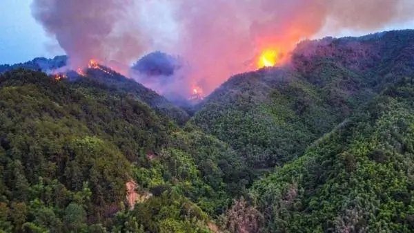 重庆大足区山火燃烧一夜未灭，此次火灾发生的原因是什么？