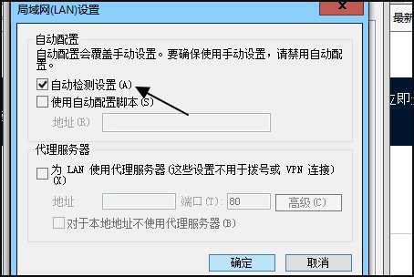 程序无法检查定义更新是怎么回事？