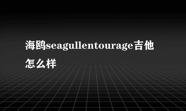 海鸥seagullentourage吉他怎么样