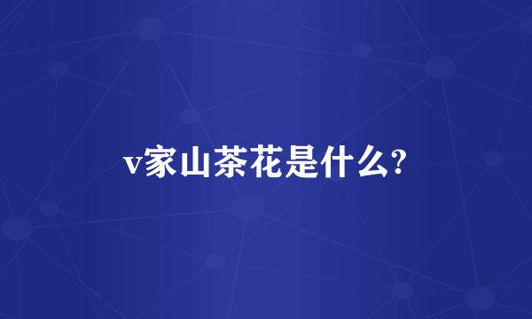 v家山茶花是什么?