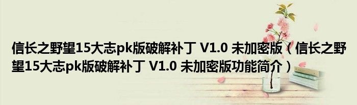 信长之野望15大志pk版破解补丁V10未加密版信长之野望15大志pk版破解补丁V10未加密版功能简介