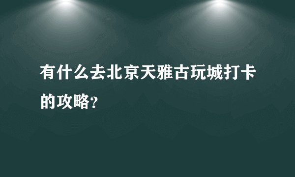 有什么去北京天雅古玩城打卡的攻略？